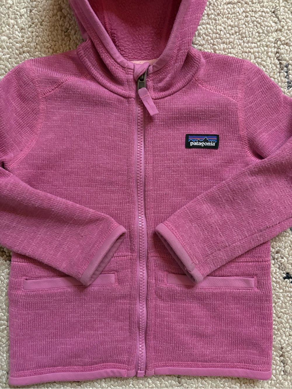 Patagonia kids fleece sweater jacket (2T) EUC - Picture 3 of 5